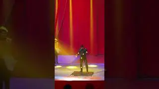 Do Portugal Circus features aerial acts, illusionists, and electrifying performers
