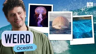 Самые странные природные явления океана | Странности: океаны | ABC Science