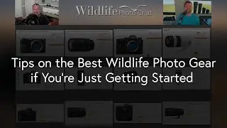 Tips on the Best Wildlife Photo Gear if you are Just Getting Started - Wildlife Photo Chat Video