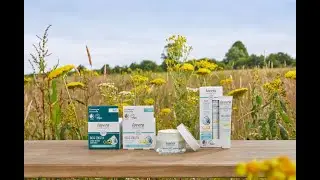 Gamme de soins anti-rides basis sensitiv Q10 de lavera