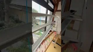 Rain gutter + marbles in the room#marblerun #satisfying