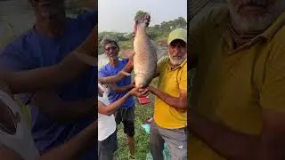 Unexpected big fish caught in a small village stream . Fishermen are shoked.