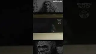 BIGFOOT LOOKONG THROUGH MY WINDOW!  #bigfoot #sasquatch. #reels