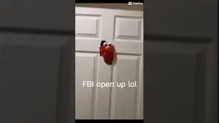 Elmo is the new FBI lol