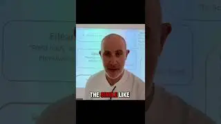 Эйлеан Ни Чуйленайн Поэзия