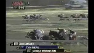 Tapit - 2003 Laurel Futurity