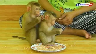 Beautiful Baby Luna With Tiny Baby Nina Eating Pomegranate Fruits