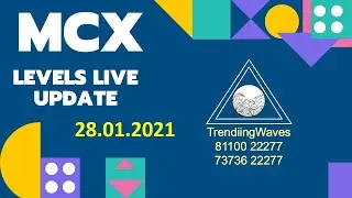 Mcx Levels Update 28 Jan 2021