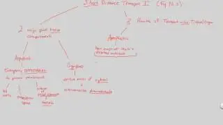 Перевозка растений &ndash; Перевозка на короткие расстояния I | BIALIGY.com