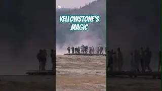 Yellowstone's Magic: Geysers, Bison, & Vistas!