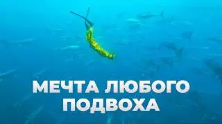 Мы уже решили уезжать, но гид показал нам это СЕКРЕТНОЕ место! Голубая бездна в Турции