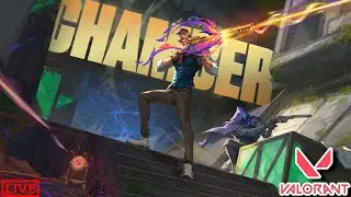 Dominating Competitive with Chamber | Valorant Ranked Grind | #valorantlive #chambermain #live