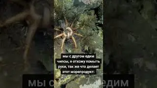 #рекомендации #facepunch #мемы #школа #rustgame100 #чиптюнинг #рек