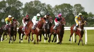 Funny Commentary-Horse Racing