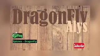 Epicnes - DragonFly
