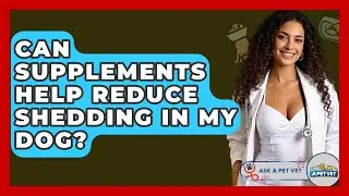 Can Supplements Help Reduce Shedding In My Dog? - Ask A Pet Vet