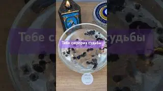 Сюрприз судьбы: что ты получишь 🎁
