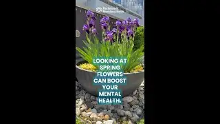 Spring Flowers Can Boost Your Mental Health