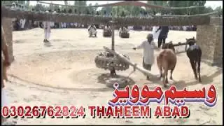 waseem movies