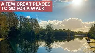 Walking Trails In Southeast Florida | 3 Great Places To Get Outdoors On Florida's Treasure Coast!