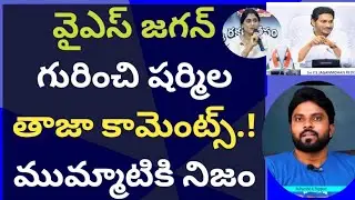 వైఎస్ జగన్ గురించి షర్మిల తాజా కామెంట్స్ ముమ్మాటికి నిజం #ameeryuvatvlatest #ycp #sridhar 