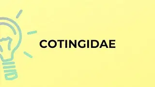 What is the meaning of the word COTINGIDAE?