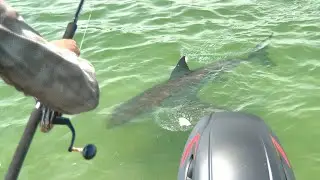 How to Make a Shark Fishing Trace
