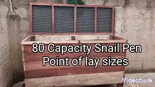 How I constructed my 80 capacity snail pen (Point of lay size) #nature  #farming #snail #farm #agri