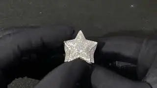 Iced S925 VVS Moissanite Diamond Star Ring