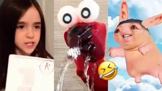 Nonomen funny video😂😂😂 BEST Nonomen Funny Try Not To Laugh Challenge Compilation 🤣