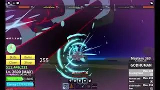StealthExoa Vs LoudEarth Blox fruits pvp