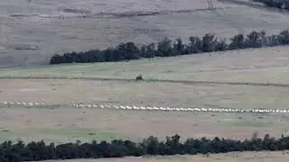 AFV trying to pass trough an anti tank ditch..