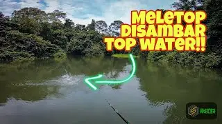 Tak sangka ikan ni sambar | Casting Air Ganda Gerik