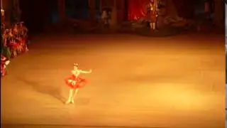 Fairy of Bravery (Sleeping Beauty)