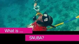 What is Snuba?