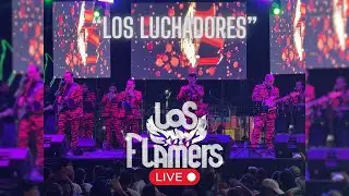 LOS FLAMERS - LOS LUCHADORES (LIVE)
