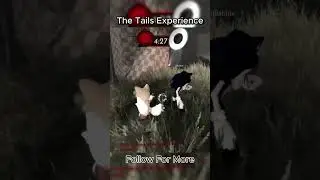 The Tails Experience #outcomememories #sonic #sonicthehedgehog #tailsthefox