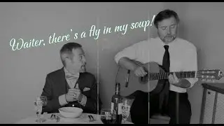 Waiter, There's A Fly In My Soup! - Promis & Matthews