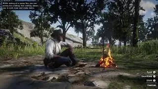 pyronarf's PS4 Stray broadcast.