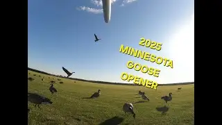 2025 MINNESOTA GOOSE OPENER