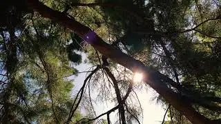 FUGITIVES 17 &middot; Irina Lankova piano, Isabelle Fran&ccedil;aix video