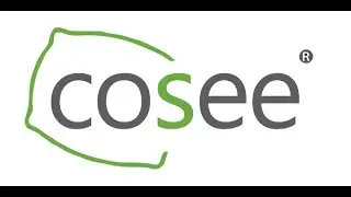 Cosee Pillow