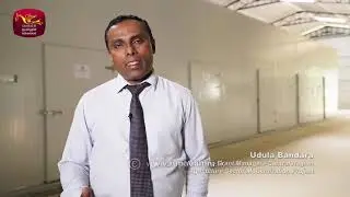 Global Green Agro Pvt Ltd   Mushroom Project