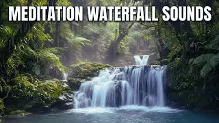 Peaceful Night Rain and Forest Ambience for Stress Relief, Deep Sleep and Mindful Meditation 🍃🫧