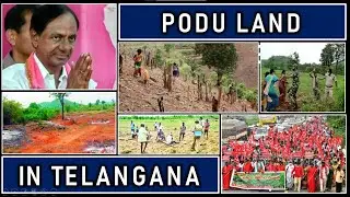 What is PODU LAND Issue of Telangana ? Relocating farmers involved in Shifting Cultivation.