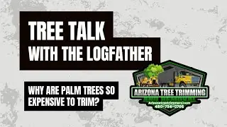 Why Are Palm Trees So Expensive to Trim? | Tree Talk with The Logfather
