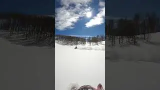 How to break your spindle 🤦🏼&zwj;♀️ #snowmobile #lynx #shredder #re #snowmobilefail #turbo #850