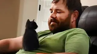 Cat's Love Mission Winning Over a Non Cat Person 😻 Cute Cat and Human