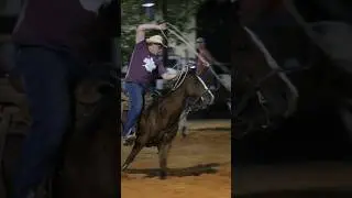 Heel shot! #roping #teamroping #horses #equine