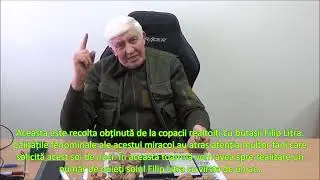 Nucile de la Filip Litra. Binele rasplatit cu bine. Partea I. Decembrie 2021